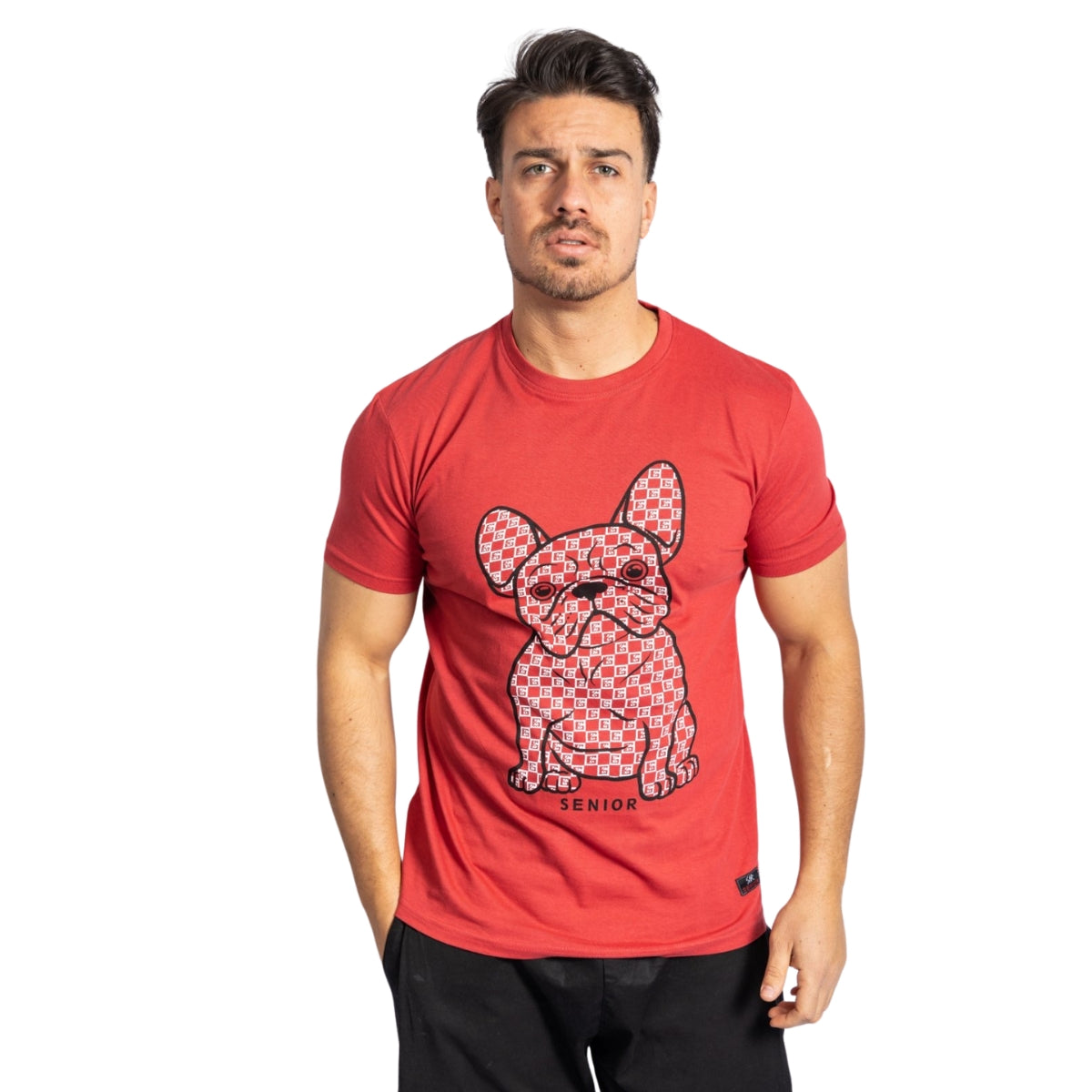 Ανδρικό T-Shirt French Bull (843) - Panda Clothing