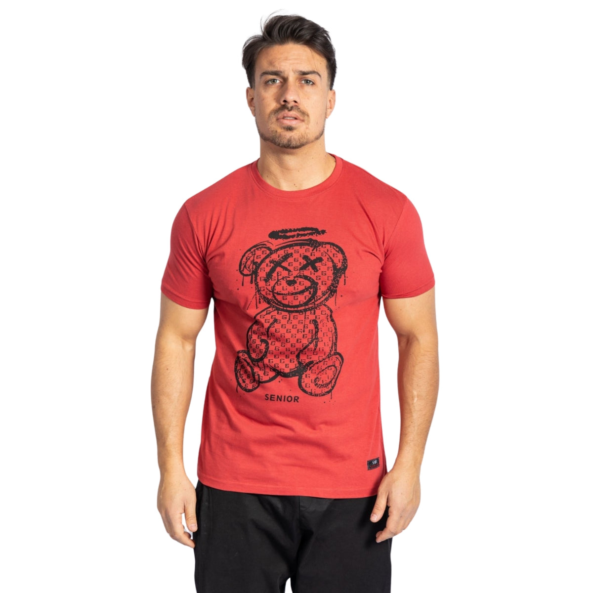 Ανδρικό T-Shirt Teddy Bear (861)